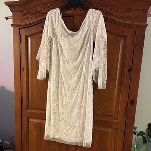 Adrianna Papell Ivory Lace Long Sleeve Dress